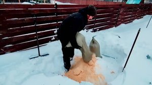 Самодельный холодильник для черенков из подручных средств. Снежный бурт. #саженцы #лес #растения