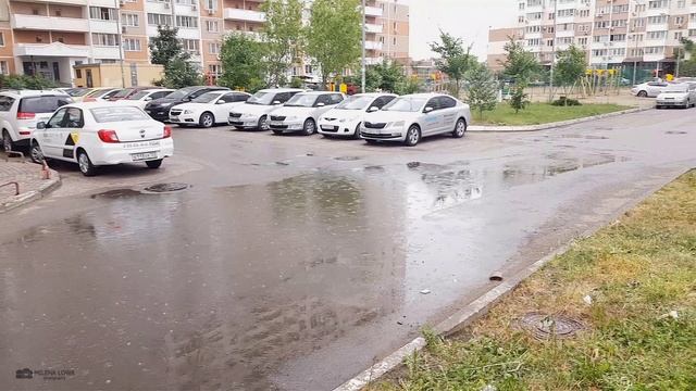 Весна. Садовые розы и ирисы в Краснодаре. ЖК Московский прогулка по аллее