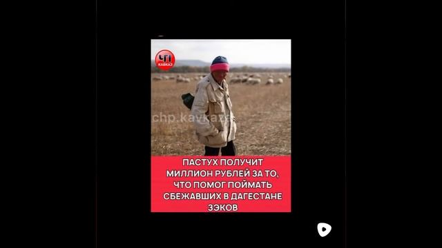 Срочные новости. Пастух который задержал сбежавших. Получит 1 миллион рублей.