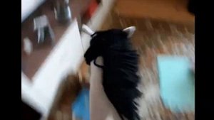 хоббихорсинг небольшой влог, новый конь!