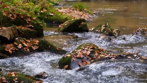 КРАСИВАЯ МУЗЫКА