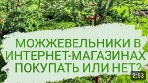 ВОПРОС КОТОРЫЙ МНЕ ЧАСТО ЗАДАЮТ: "МОЖЖЕВЕЛЬНИКИ В ИНТЕРНЕТ-МАГАЗИНАХ ПОКУПАТЬ ИЛИ НЕТ?"