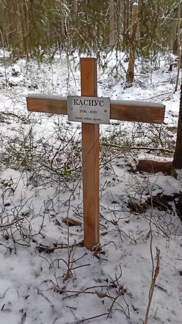 могила в лесу