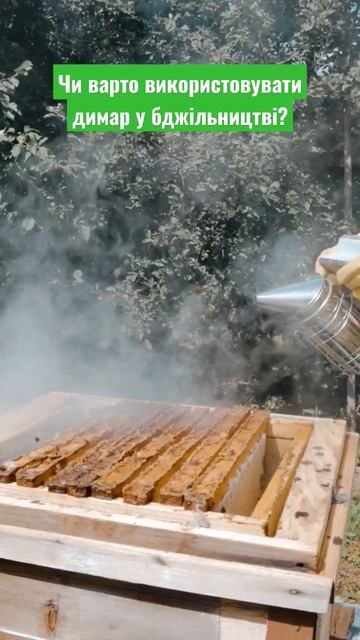 Бджоли і димар #пасіка #пчеловодство #бджільництво #beekeeping #beekeeper #мотивация #длялюдей