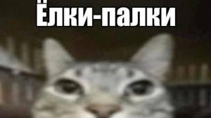 Я вернулся!!!!!!!!!!!!