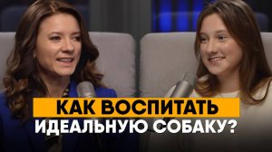 Секреты воспитания мальтипу: как вырастить послушную и здоровую собаку