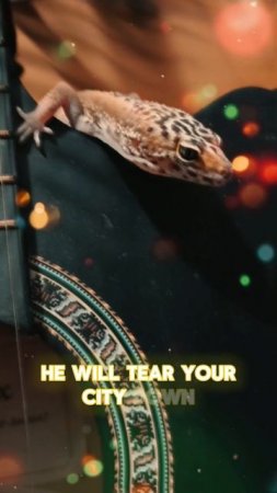 наш тгк WILD_REPTILE 🦎