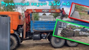 Рулонный газон