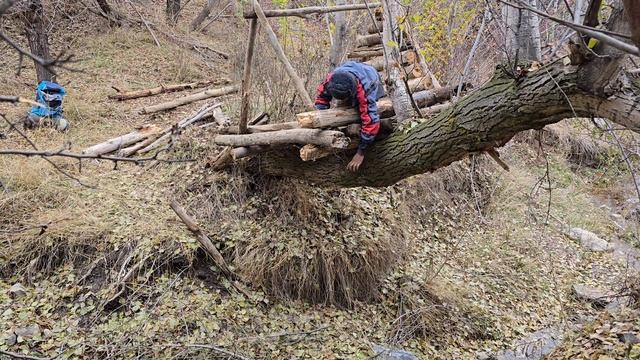Строительство теплого и уютного домика на дереве с камином внутри выживание