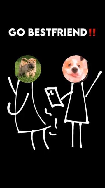 Shar pei and corgi vibing #corgi #sharpei #dogs #doglover #foryoupage смотреть онлайн