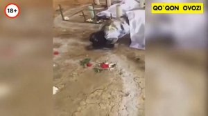 ARVOHLAR VA JINLAR   SHAYTONLAR HAQIDA YANGI TASVIRLAR 2020