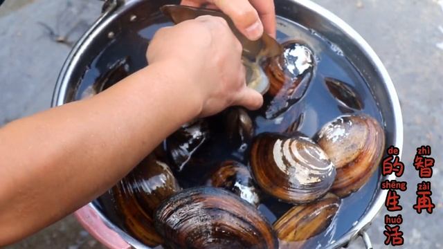 河蚌怎么做最好吃？野小哥下河去捡河蚌回来爆炒口感好味道鮮。personally caught mussels to make Chinese food| 美食 | 野小哥 wild boy