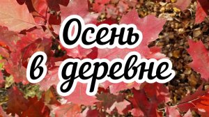 Осень в деревне Релакс-влог