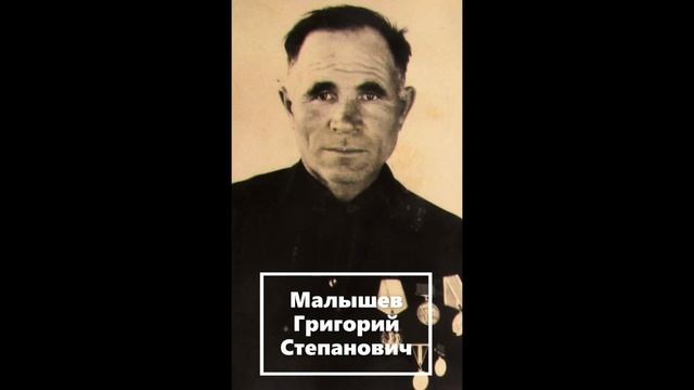 Журавли.Память.Раздольное. смотреть онлайн