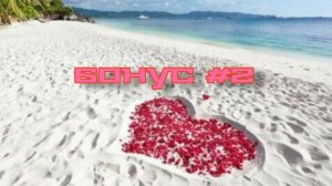 Бонус #2