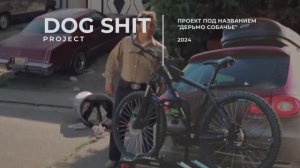 Проект под названием Dog Shit