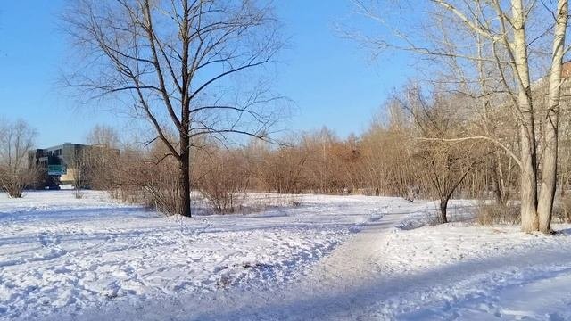 20 ноября 2024 г.