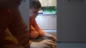 как выучить с собакой команду {нельзя}