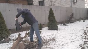 15-02-2025 Favourite пила цепная обзор тест