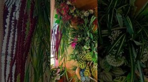 Фитостена и фитопотолок из искусственных растений, нижняя часть натуральные суккуленты