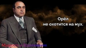 Жестко и Впечатляюще! Цитаты итальянской мафии