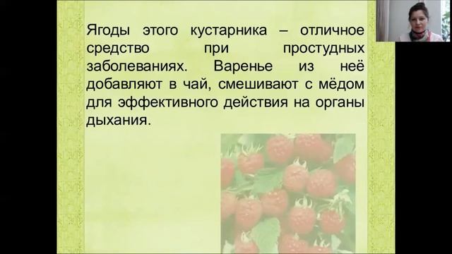 Лекарственные растения.Викторина