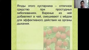 Лекарственные растения.Викторина
