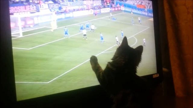 Кошка хочет стать футболистом! :) смотреть онлайн