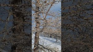 Курташтау 15.02.25.