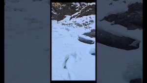 Аршан