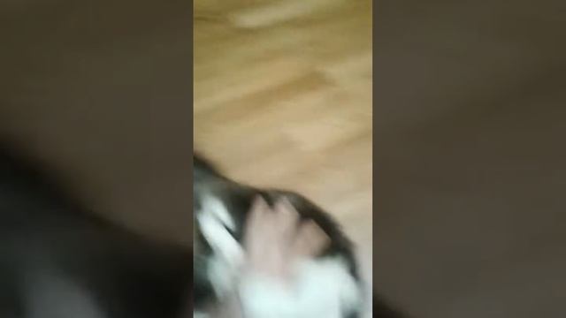 __не быкуй__ смотреть онлайн