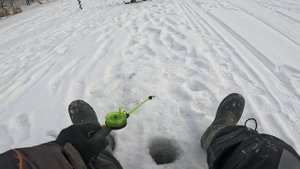 Прогулка  По Самарке !