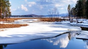 Прогноз на март 2025 год. Стихия огня: овен, лев, стрелец