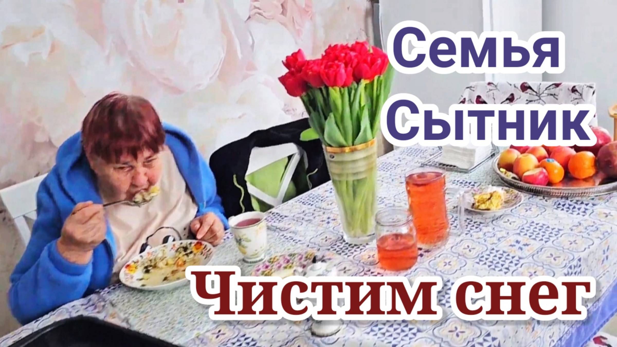 Чистим снег, никто не помогает!- Семья Сытник