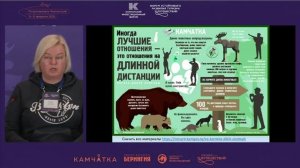 Правила наблюдения за дикими животными Камчатки - доклад на Форуме устойчивого туризма