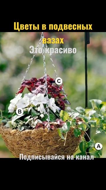 Украшение цветами #shorts #цветы #деревня #жизньвдеревне #дача #живувдеревне #цветыввазах