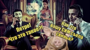 СИМ-карту съела свинья, а жена зашла с телефона... не туда!