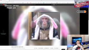 Реакция Заквиеля на ДИСС НА НЕКОГЛАЯ / MZLFF, STINT | Заквиель смотрит Дисс на Некоглая от Мазеллов