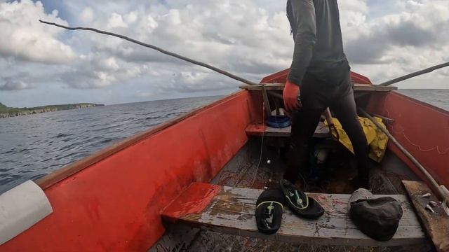 Big Sea Cow & Vicious Mackerel Shark Spotted while hunting barracuda’s #mustwatch смотреть онлайн
