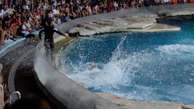 Mia, Taras, Candy and Cleo - Oltremare, Riccione - 28.08.2019 смотреть онлайн