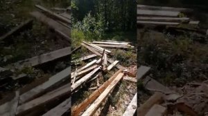 СТРОИМ ИЗБУШКУ В ЛЕСУ ДЛЯ СБОРА ДИКОРОСОВ ИЗ ДОСОК