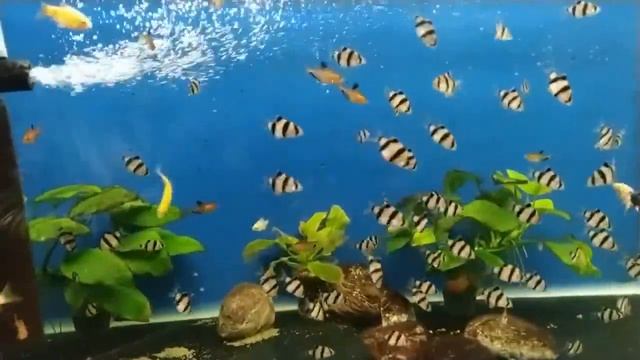 Дело Влада Бахова и мой канал. Поговорим? смотреть онлайн