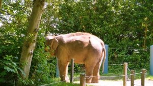 Красивая музыка Vol 5.0 + 4К ВИДЕО,  АНТИСТРЕСС  / Very beautiful music + 4K VIDEO. ANTISTRESS