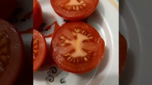 Томат ГЕРМАНИЯ МИНУСИНСКАЯ.В разрезе. Коллекционный сорт.