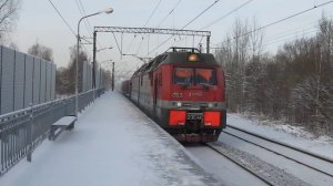 Понтонная. Контейнерный на Волховстрой под 2ЭС4К