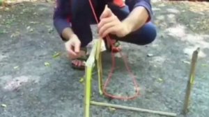 Как сделать ловушку самому.