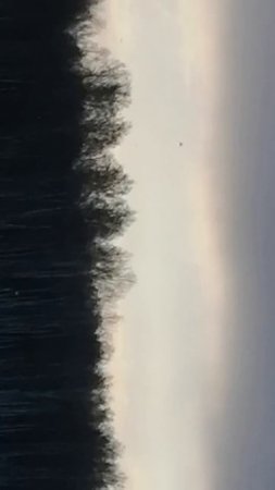 VID_20250215_084616