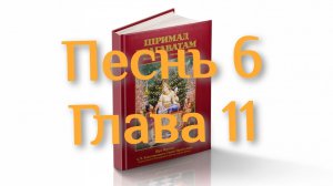 Бхакти-вайбхава, ШБ, Песнь 6, Глава 11, 15 февраля 2025 г.