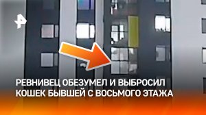 Приревновал бывшую и выбросил ее кошек из окна восьмого этажа в Набережных Челнах / РЕН Новости