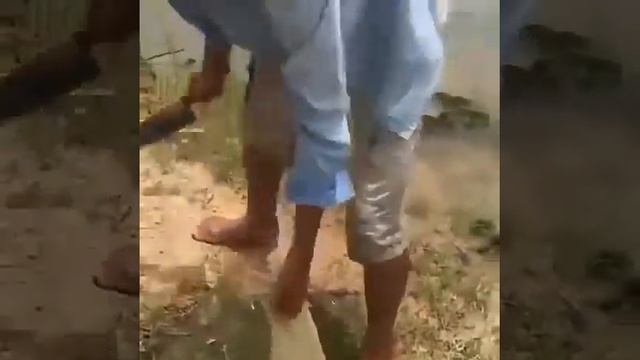 Необычный способ рыбалки смотреть онлайн